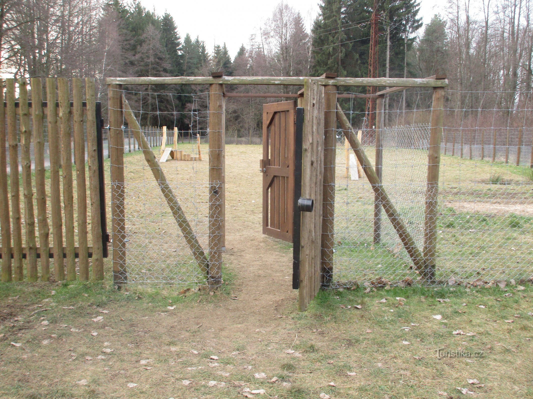 Agility playground for dogs