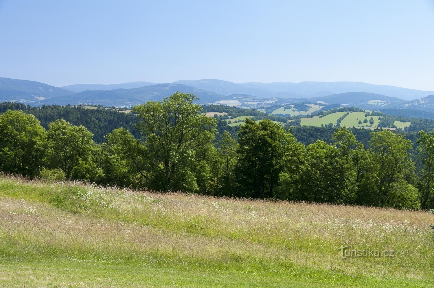 Bastioni agrari vicino a Vysoké