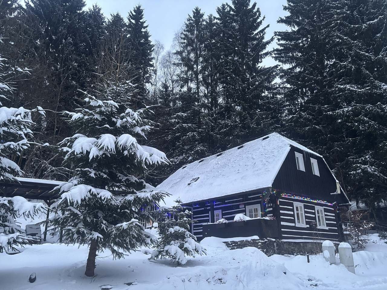 Aktuální foto 3. 1. 2026