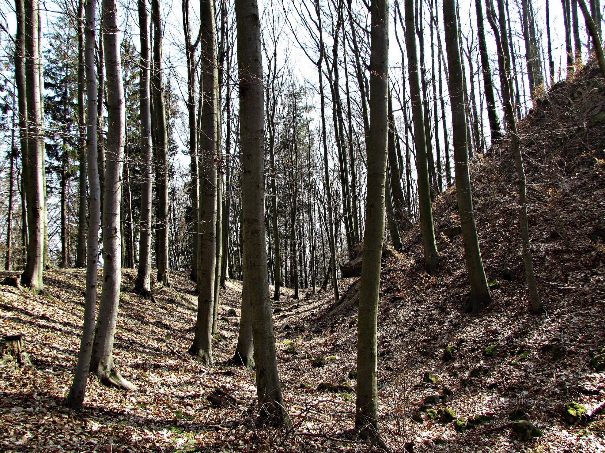 L'état actuel des ruines de Starý Svetlov