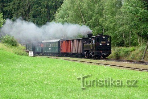 Albeř - middagstjenesten ankommer fra Nová Bystřice