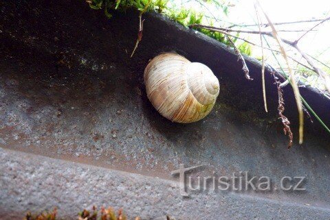 Albeř - life on the former loading dock ramp