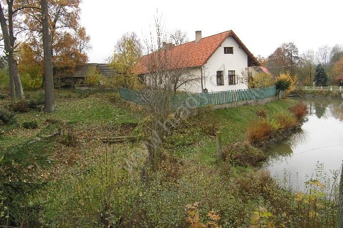 Alberovice