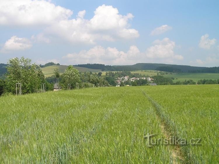 albrechtice: Pogled s Lanškrouna