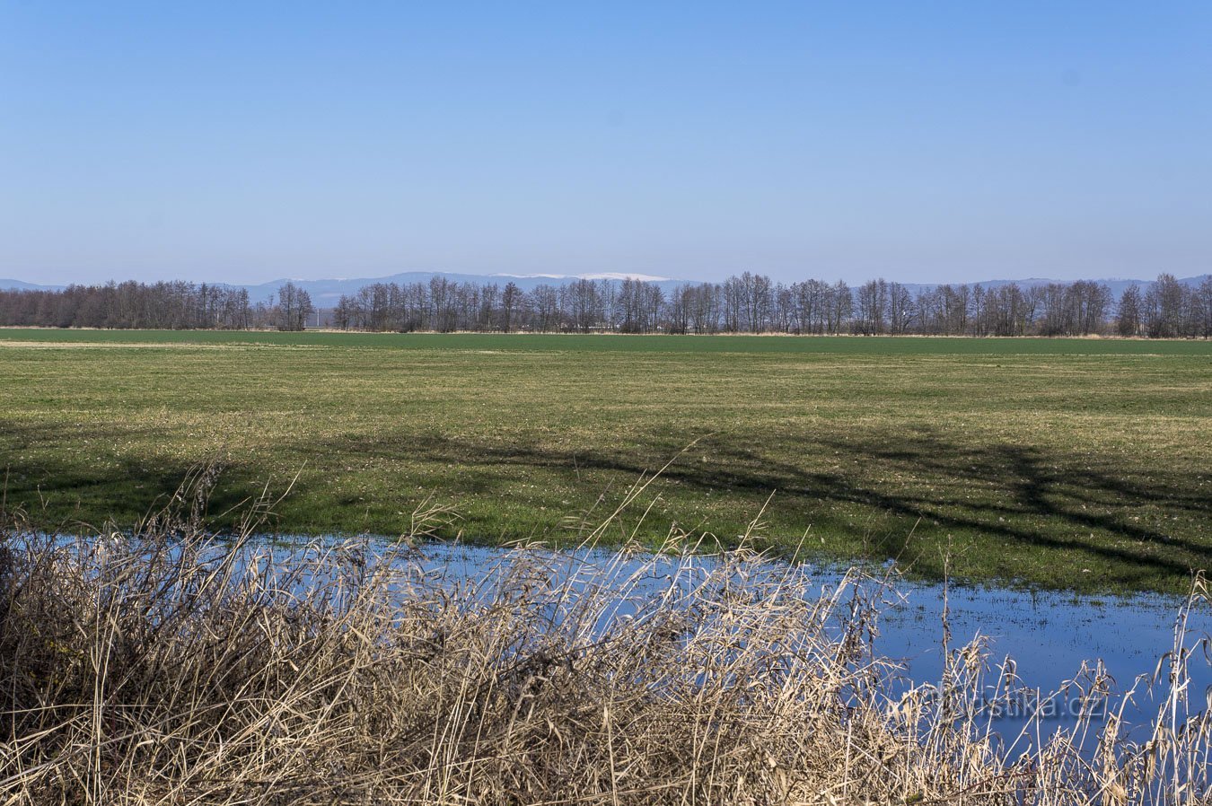 Aber ein kleiner Rückblick auf die Berge