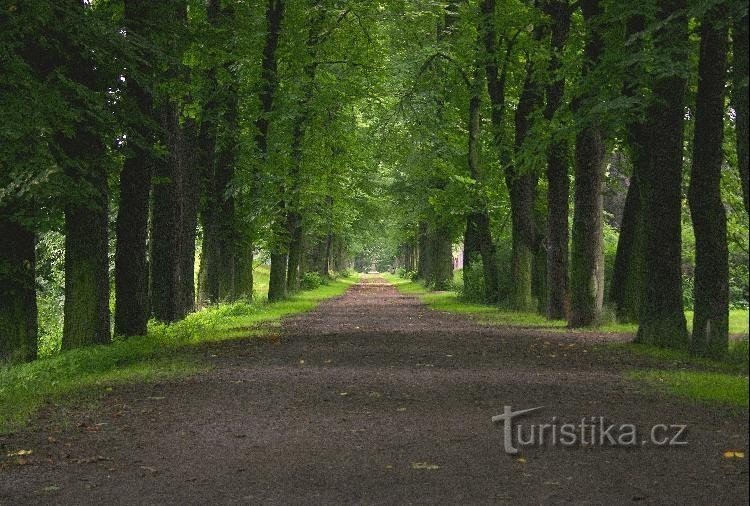 Vicolo: Vicolo lungo il castello. Questa è la strada per la tomba di famiglia della famiglia Dobřenský, i proprietari del castello.