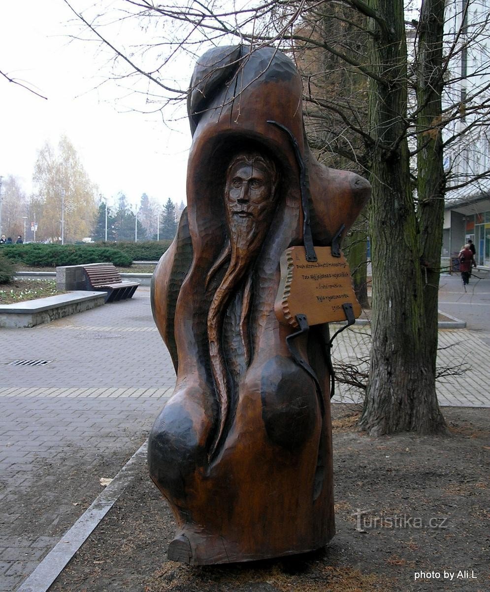 Allee chinesischer Metasequoien am Platz der Republik in Havířov - 13.11.2011