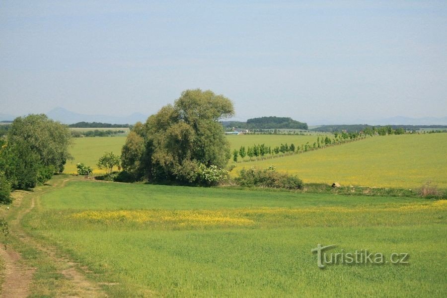 allée autour du sentier