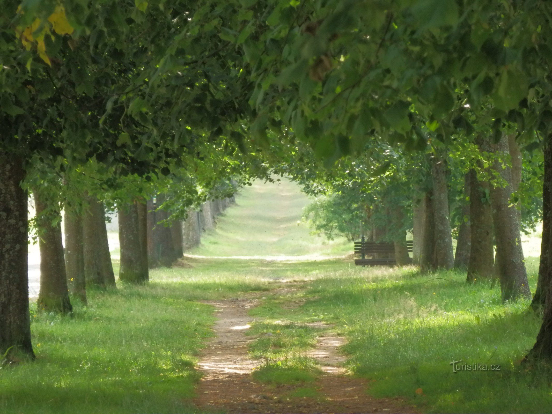 Allée vers le Mont de la Mère de Dieu