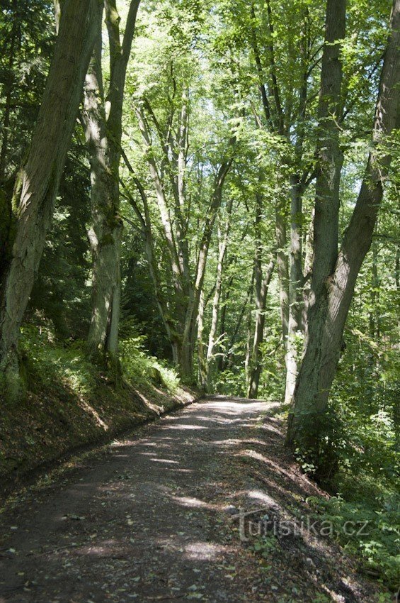 Ruelle sur route d'accès