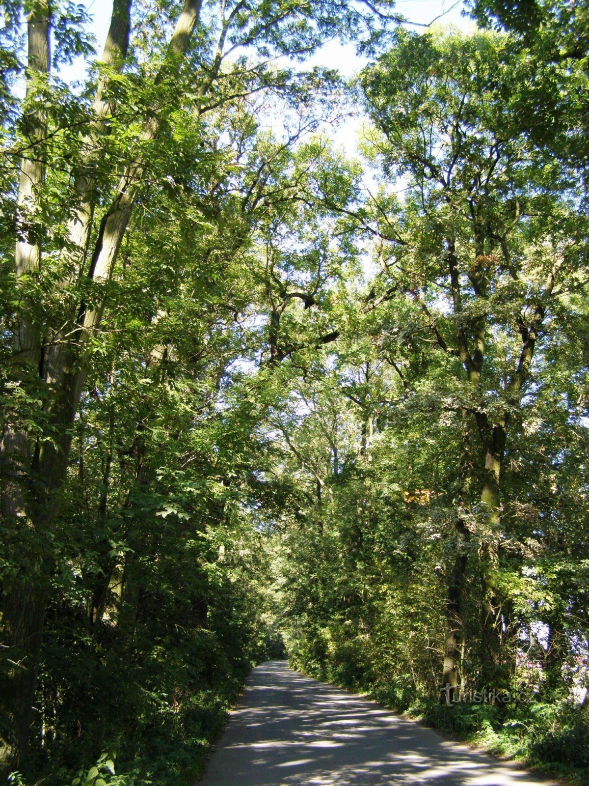 Ruelle près de Český Meziříčí