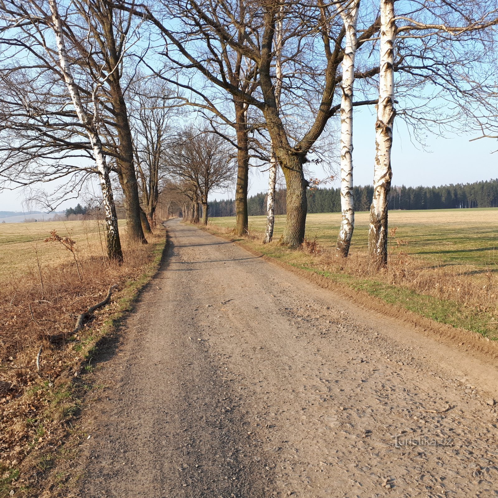 steegje in de buurt van Skrivánčí Pole