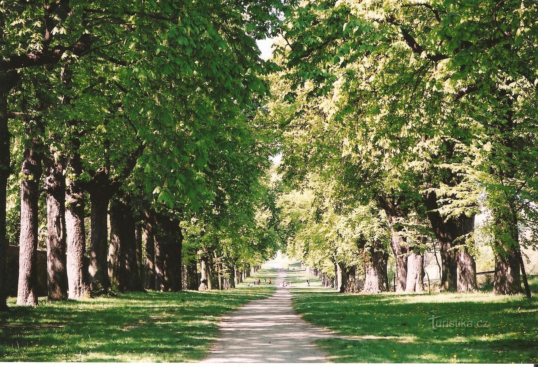 Gasse neben dem Park