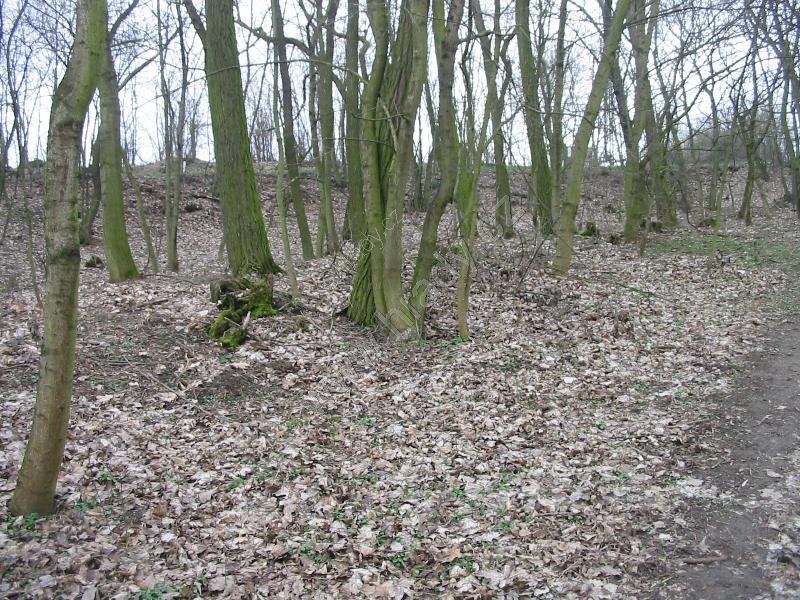 Alexovice