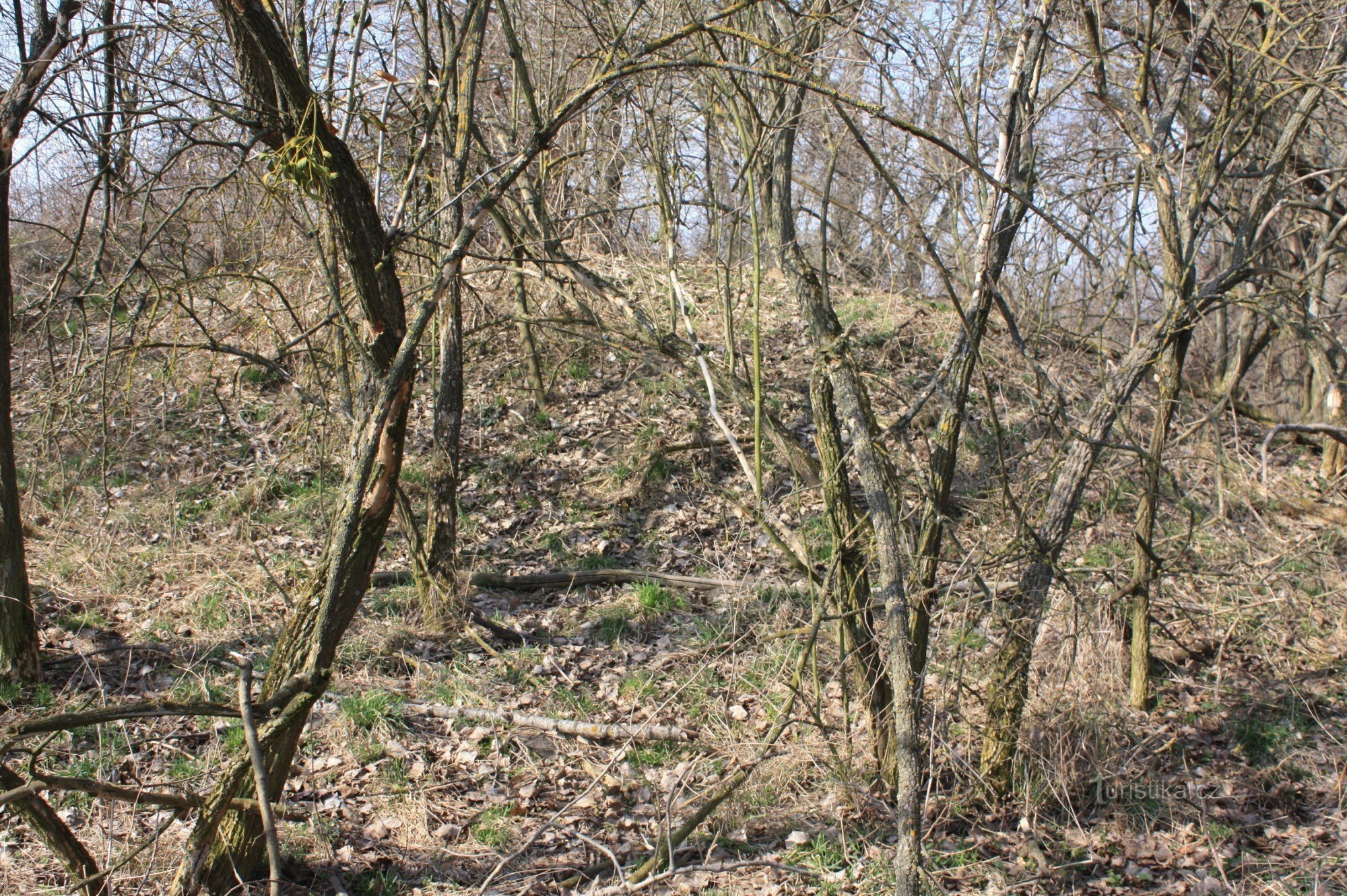 Aloch - un montículo desde el lado suroeste