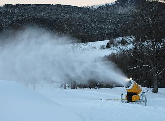 El prado de alpacas hará nieve