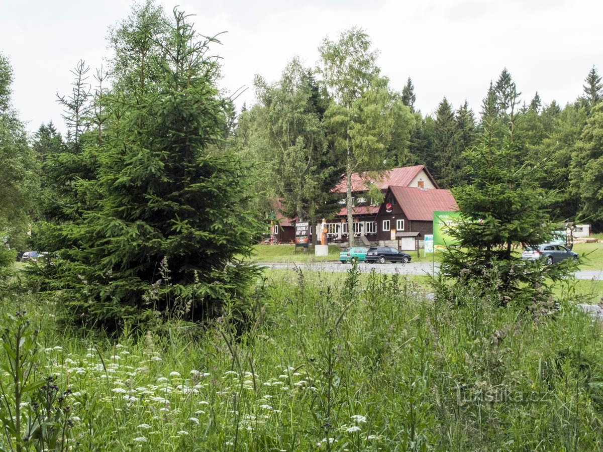 Stâlpii alpini în Jeseníky