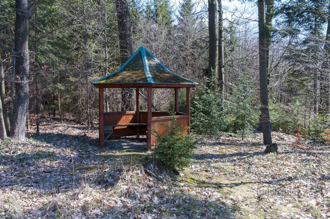 Gazebo bolj med drevesi