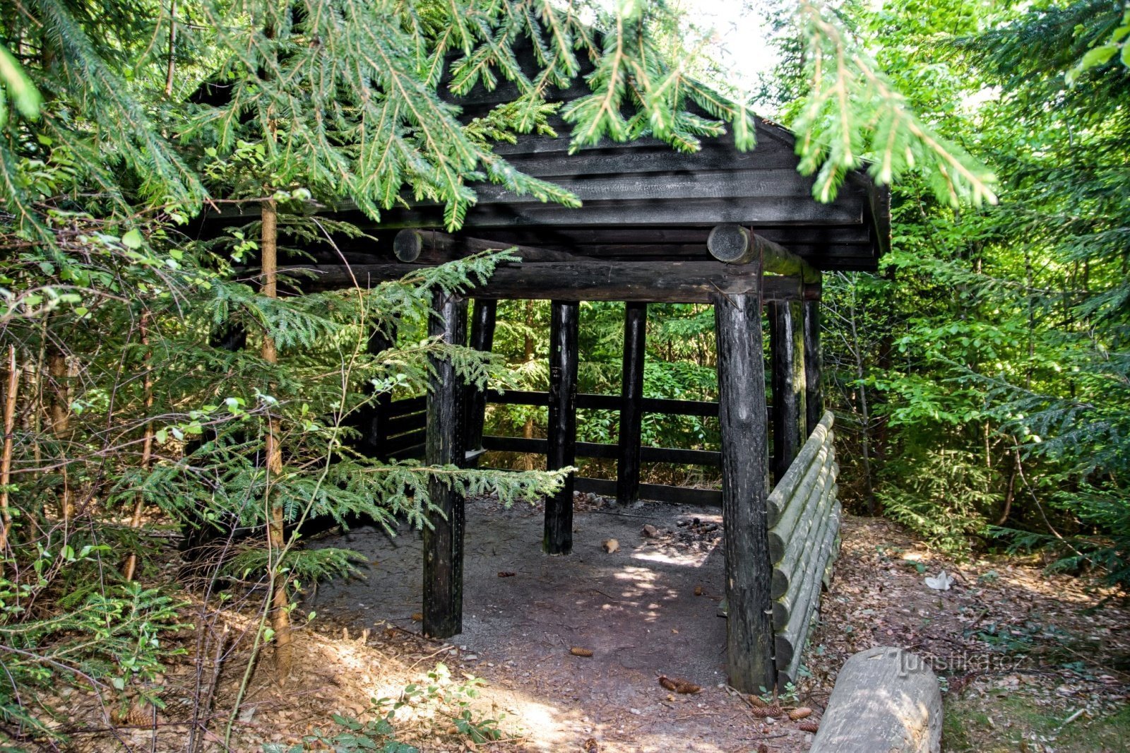 Gazebo gömt i skogen