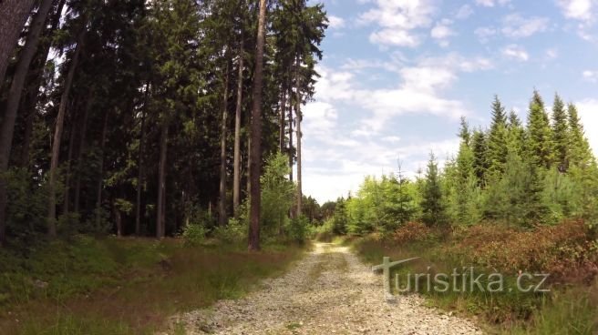 En alternativ rute på cykelruten Efter at have lært om det 20. århundredes historie og natur