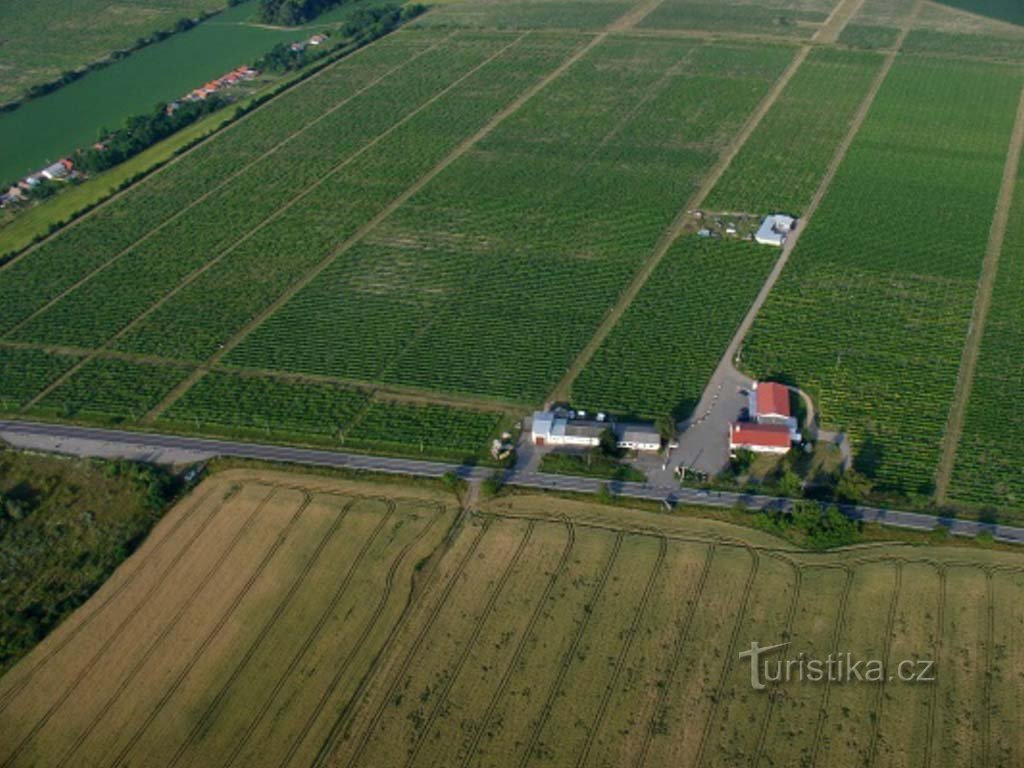 AMPELOS, VREJILNA POSTAJA VINAŘSKÁ ZNOJMO, vinoteka Vrbovec