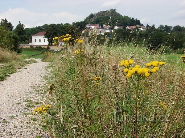 Όρος Άγγελος