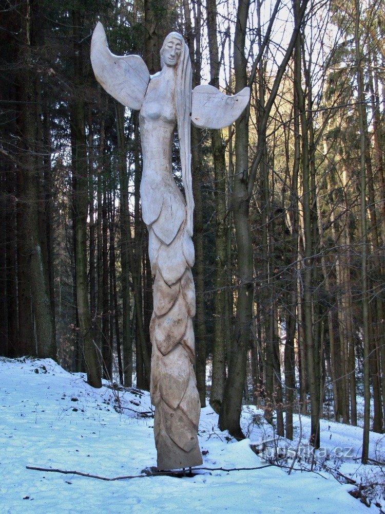 Engelpfade (Šumperk – Rejchartice)