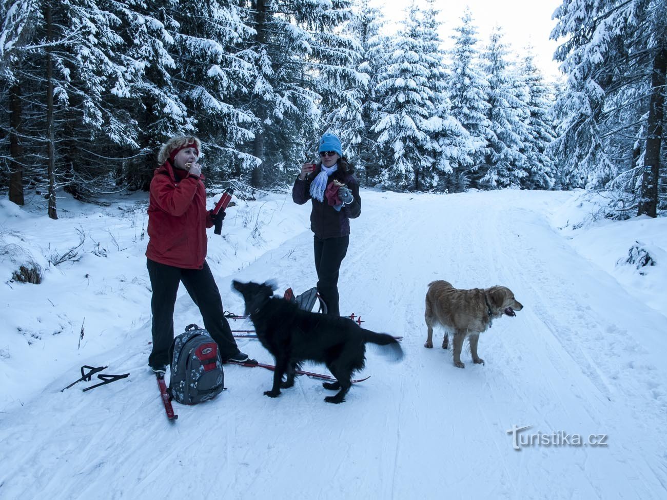 Angie and Haluska (on four legs)