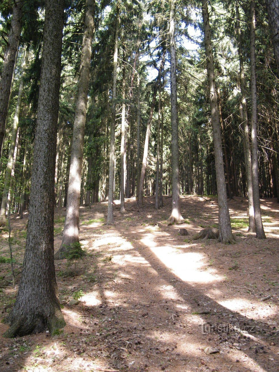 même la forêt n'apporte pas beaucoup de fraîcheur