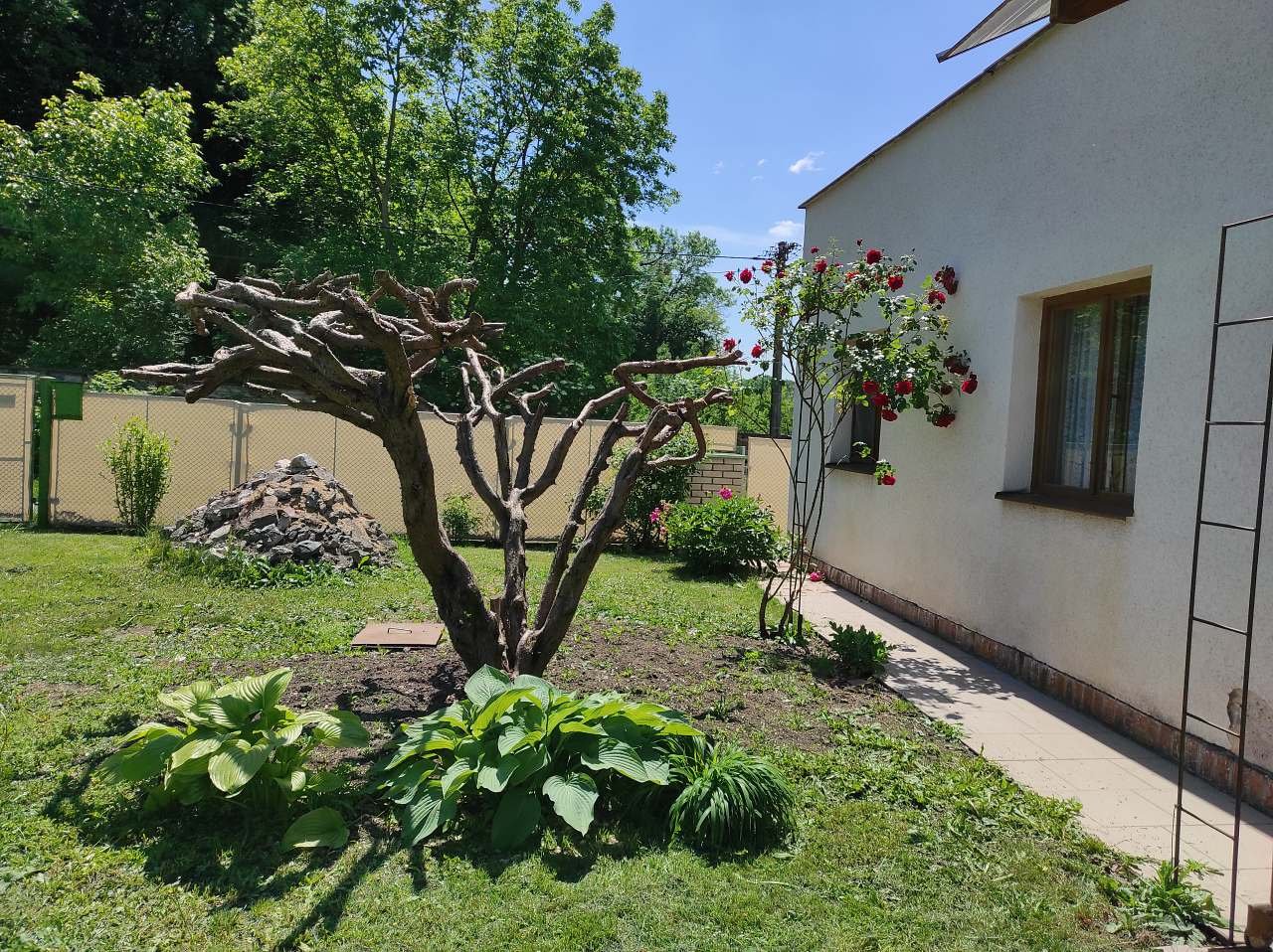 Apartment Běstvina - view from the yard