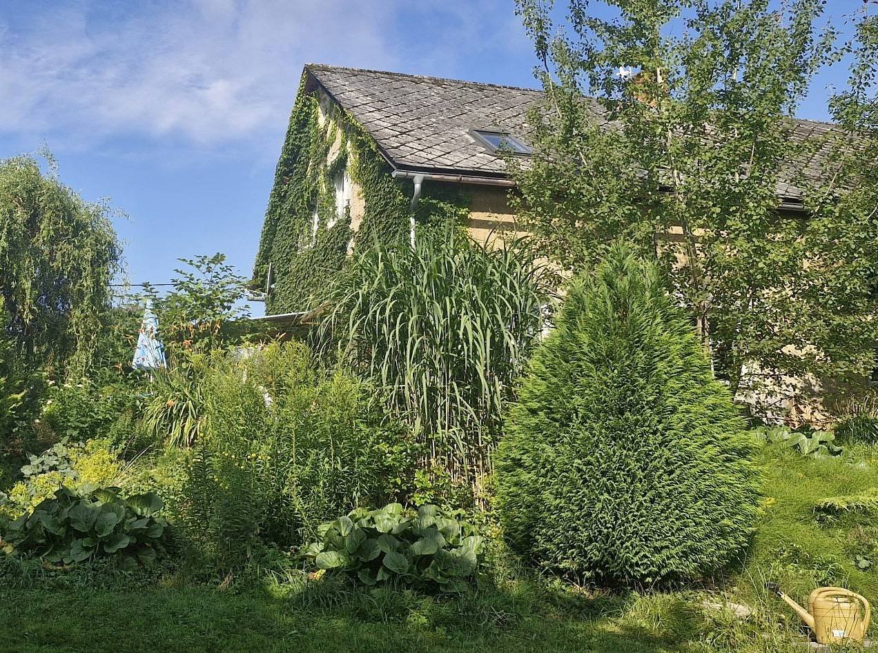 Apartmán Markoušovice