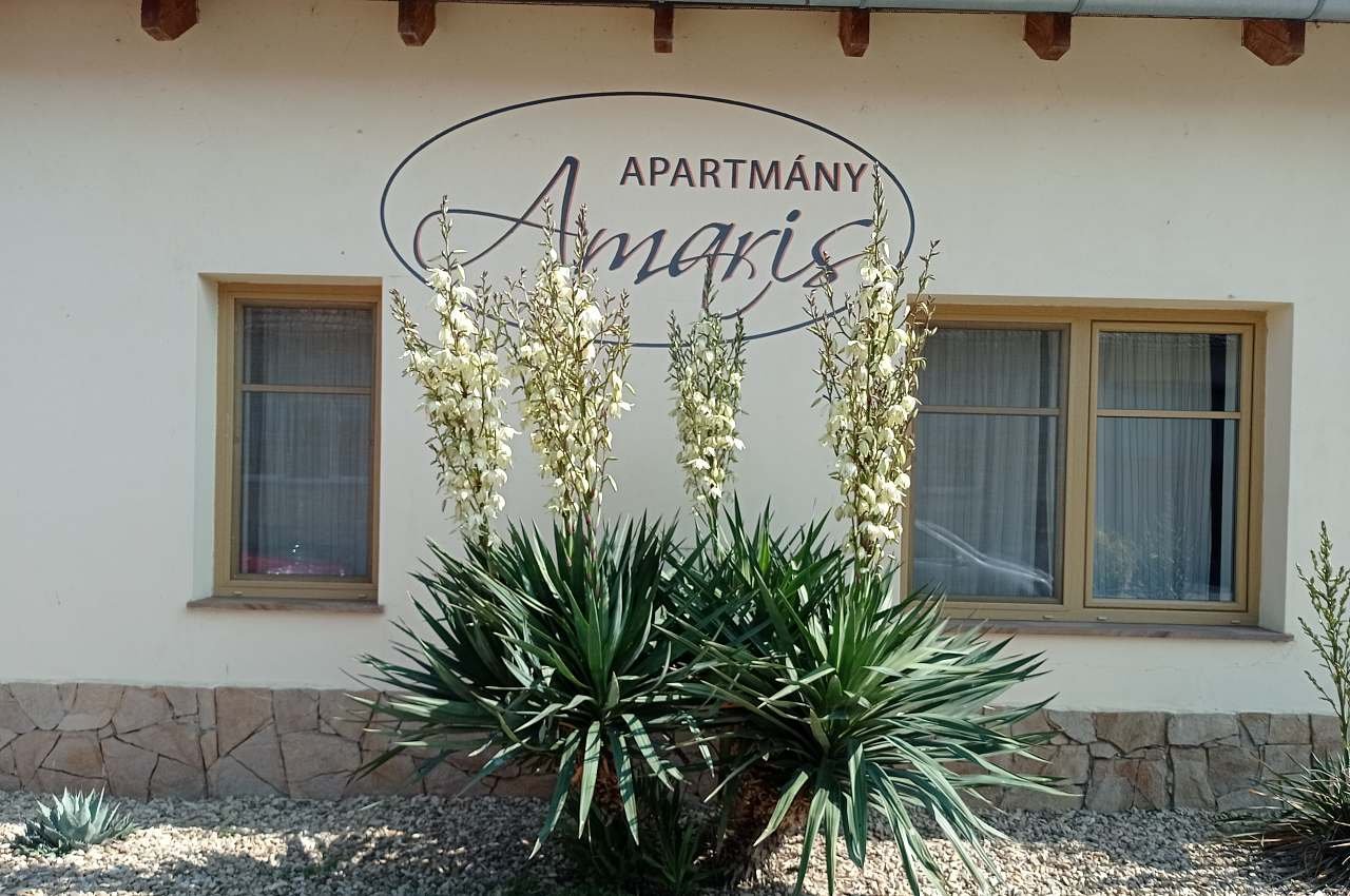 Amaris apartments for rent Strachotín