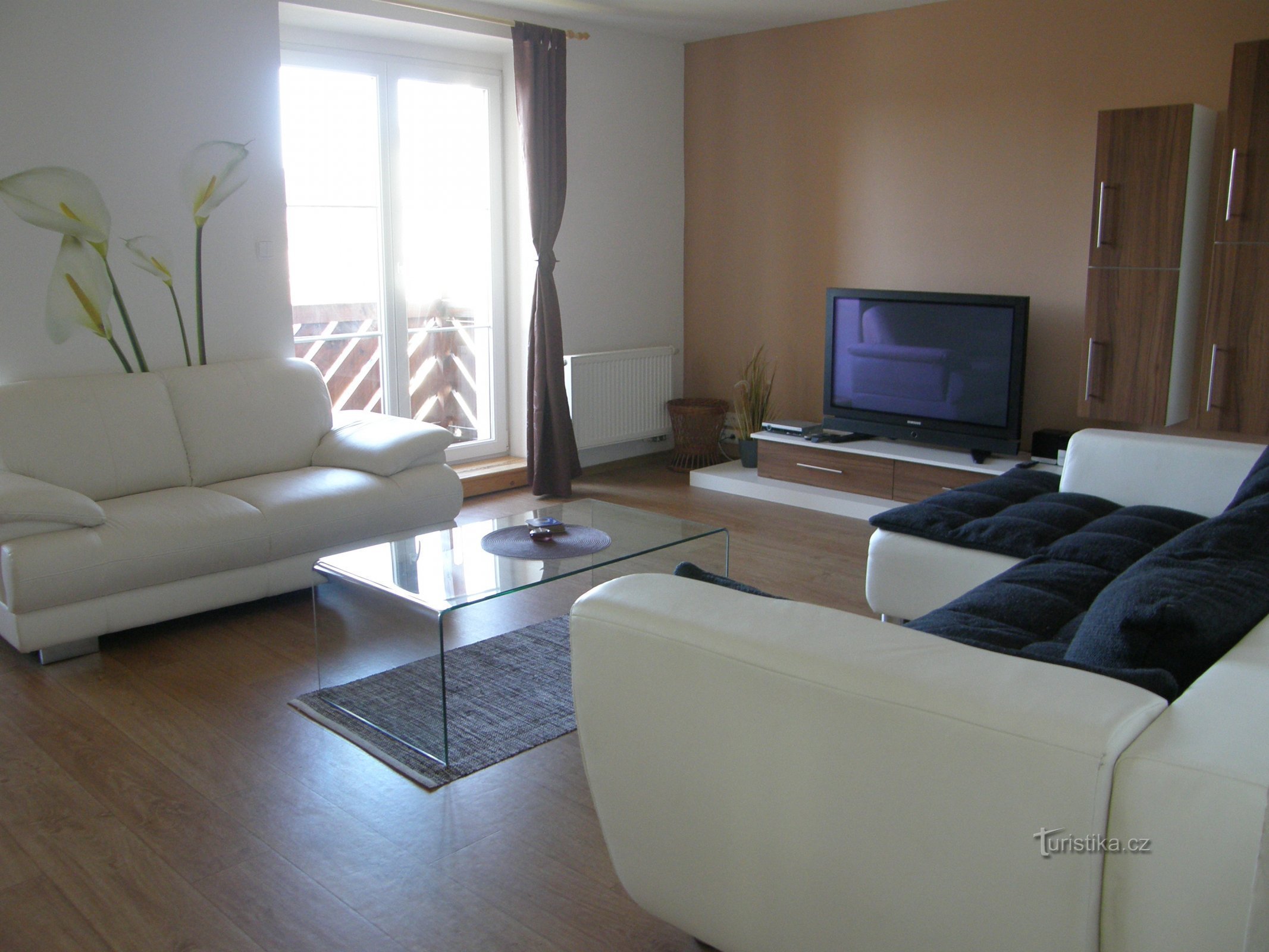 Apartamenty Lipno-1 - salon