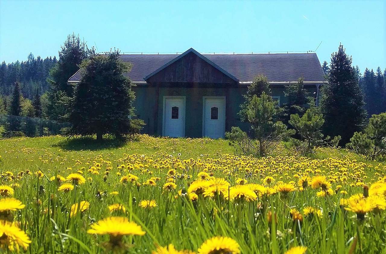 Apartamentos Potůčky