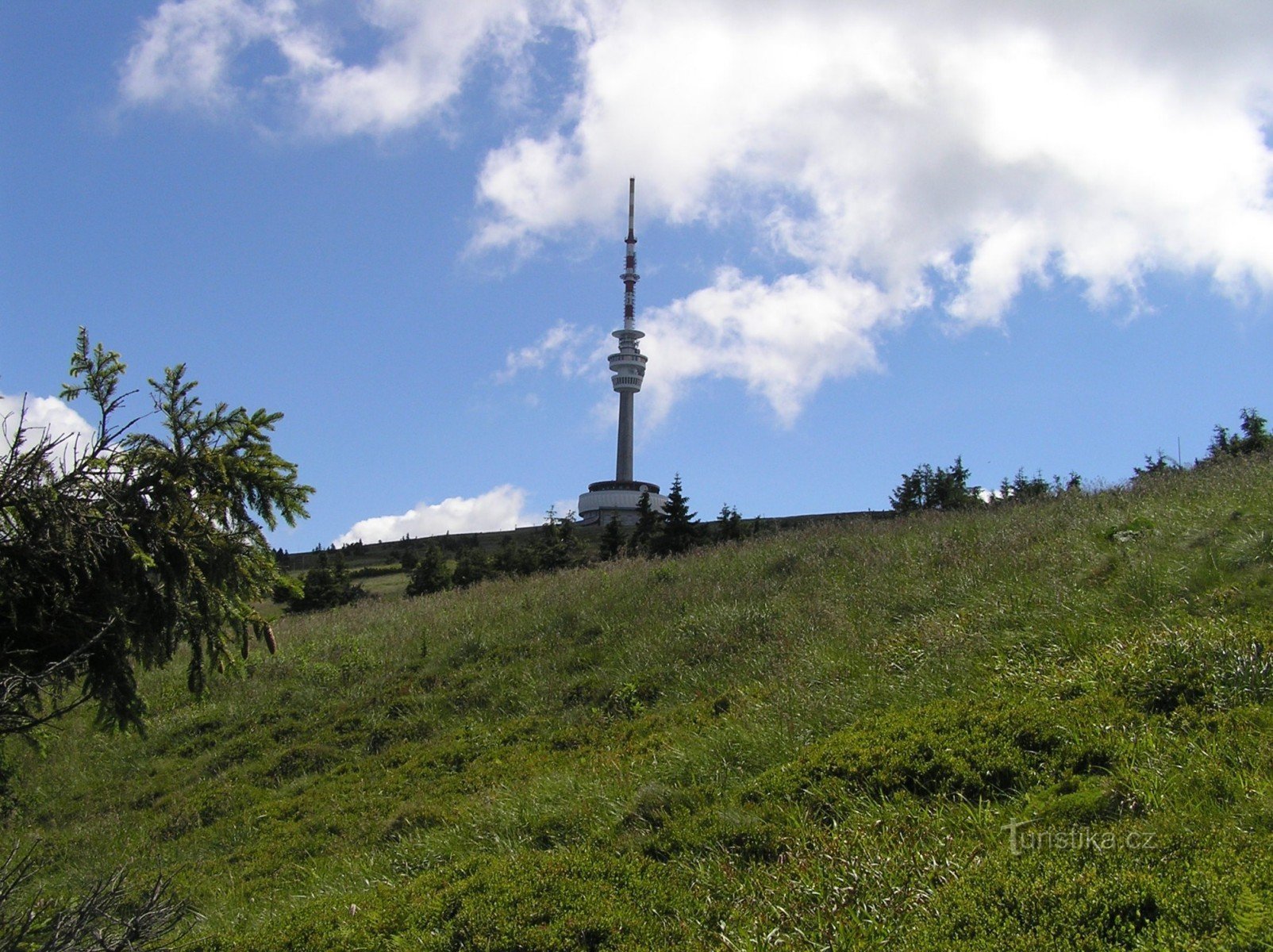 Apin-weiden onder de top van Praděd (juli 2007)