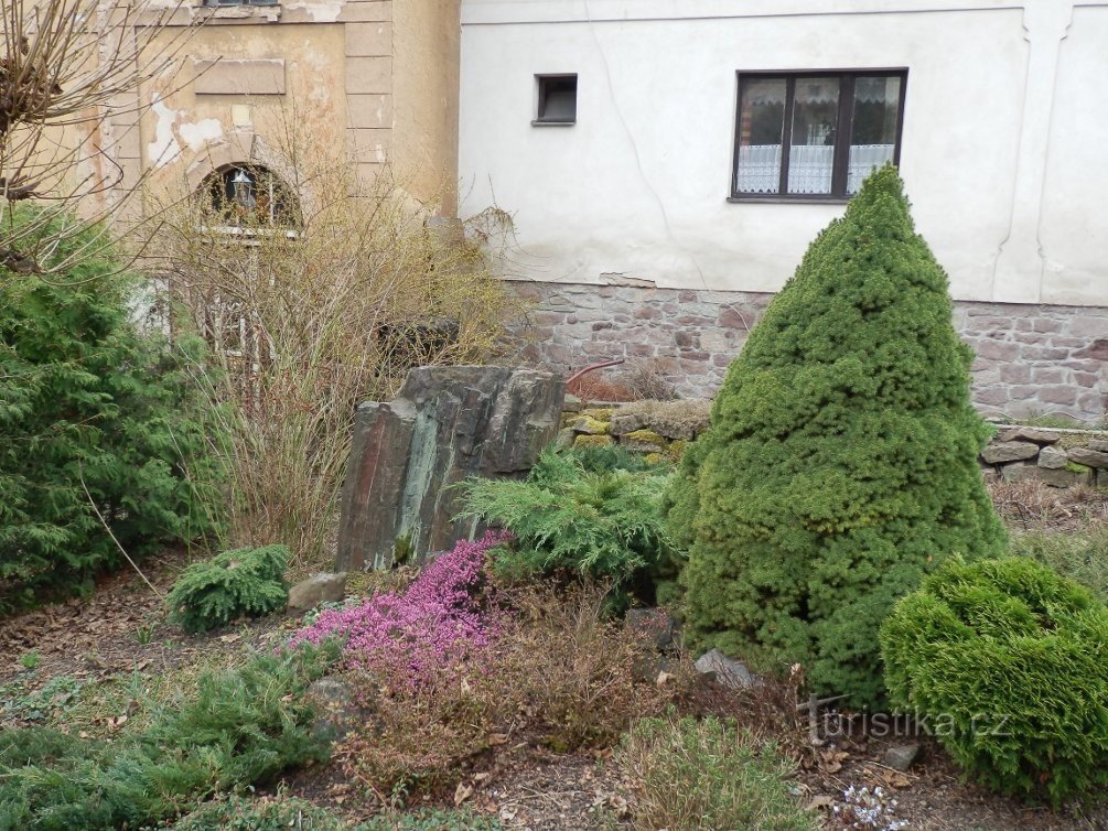 Араукарит с окружающим садом