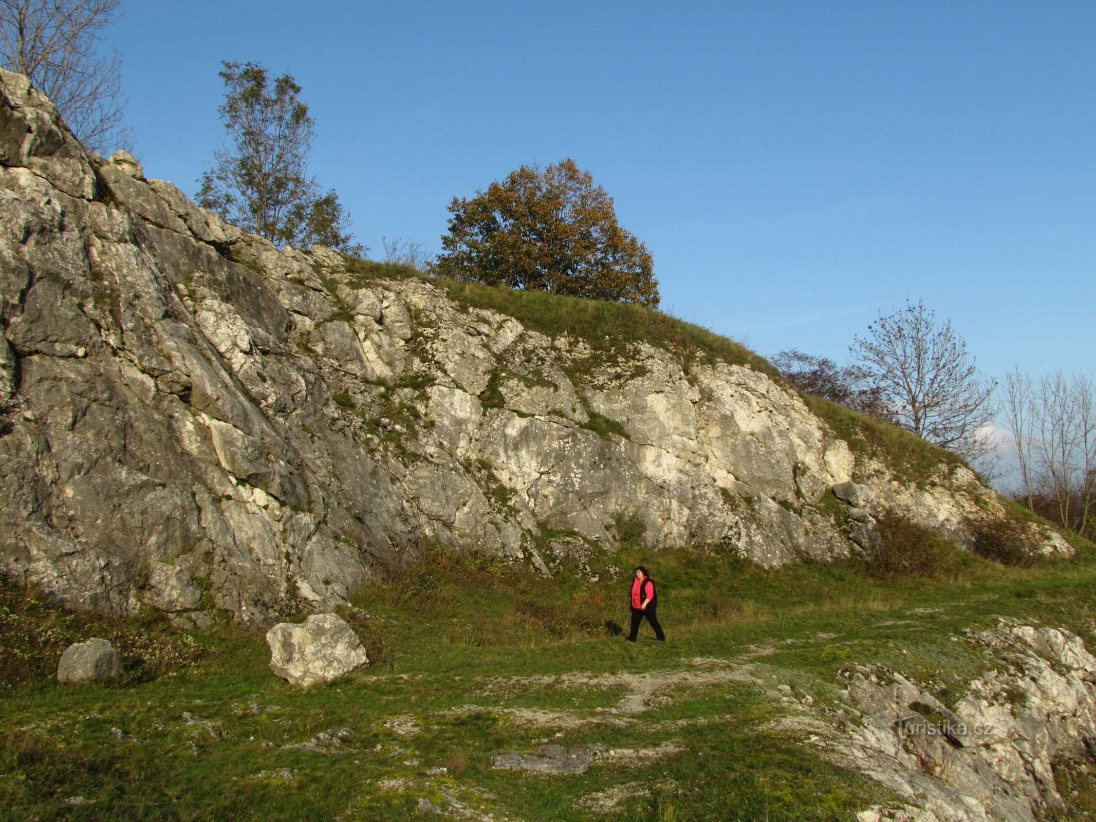 arboretum in botanični vrt