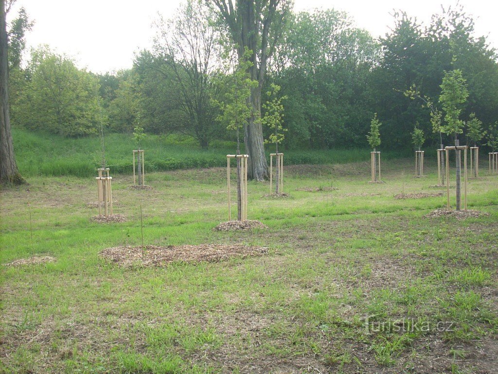 Arboretum Albrechtův vrch