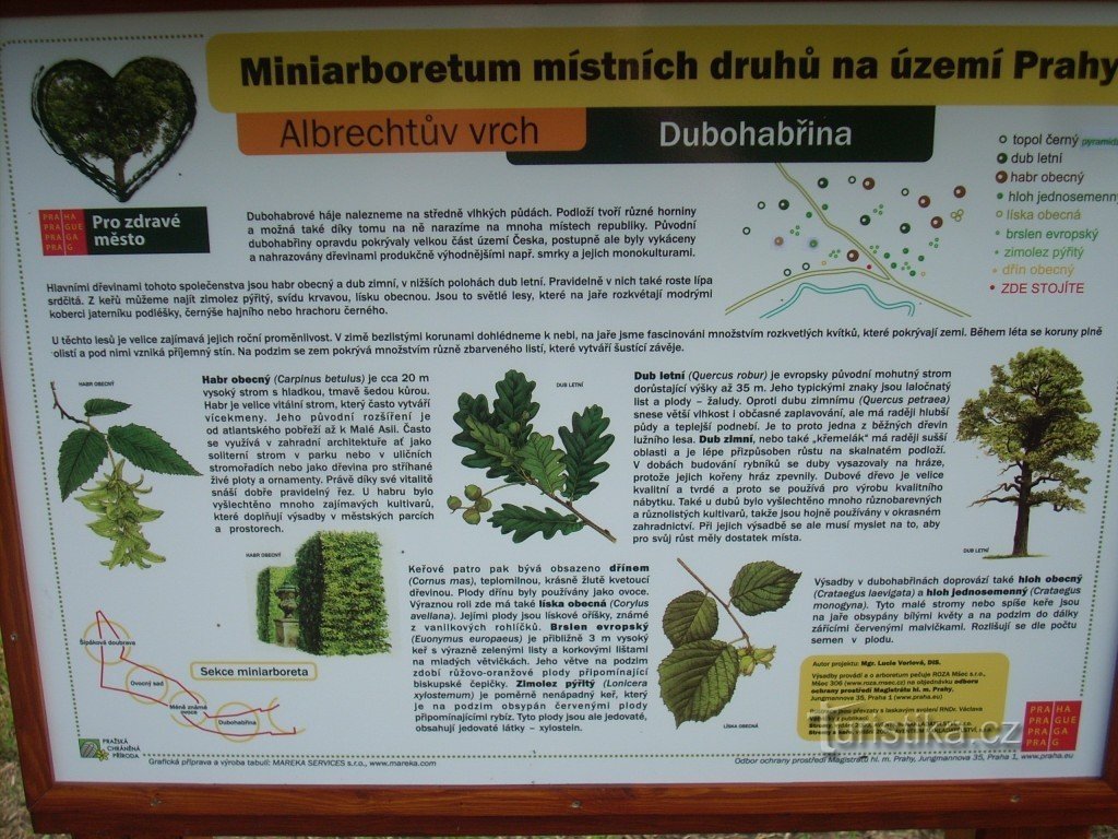 Arboretum Albrechtův vrh