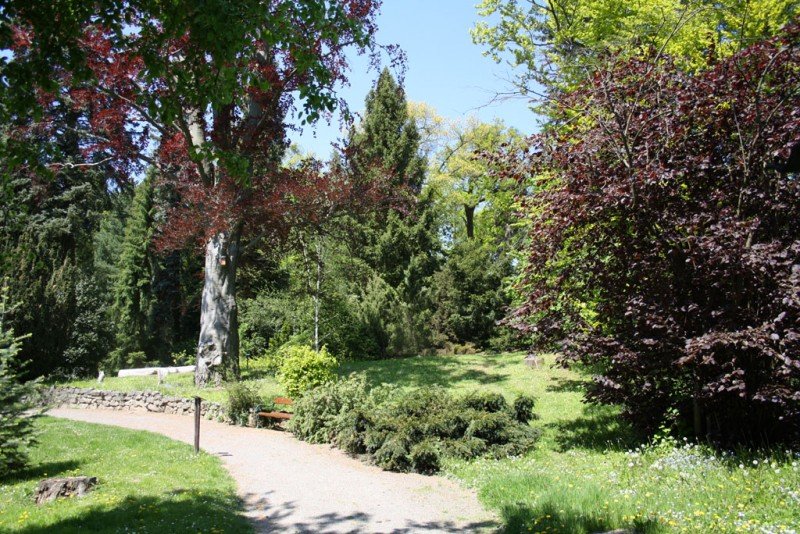 Bílá Lhotan arboretum