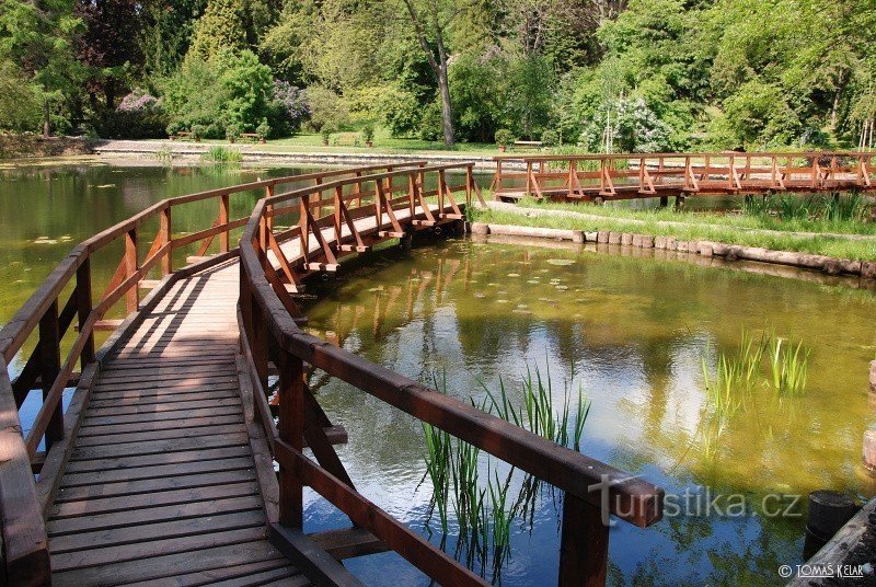 Bílá Lhota Arboretum