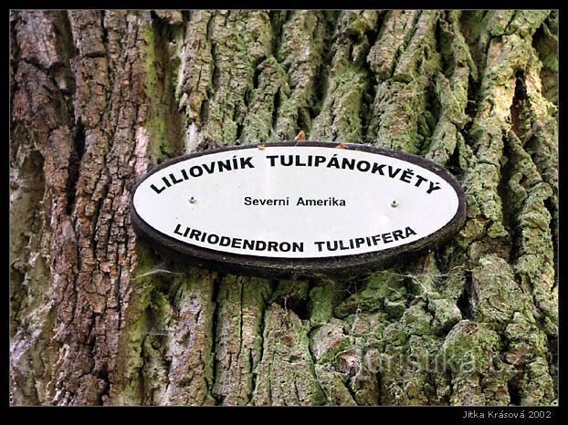 Bukovinai Arborétum