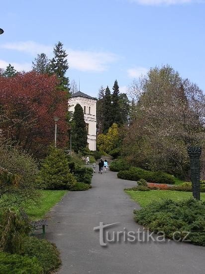 Arboretum - lente