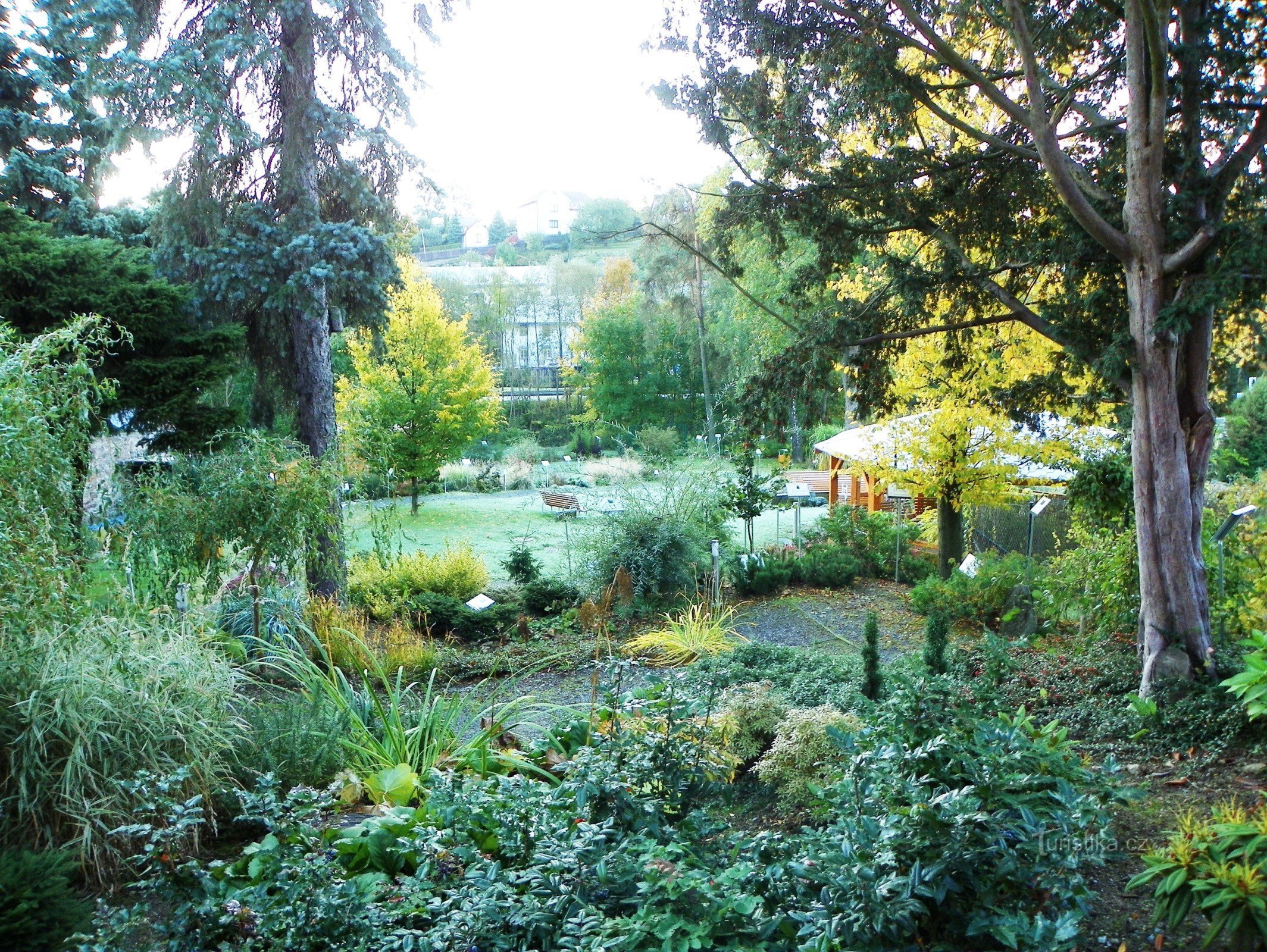 Arboretum Nowe Miasto na Morawie