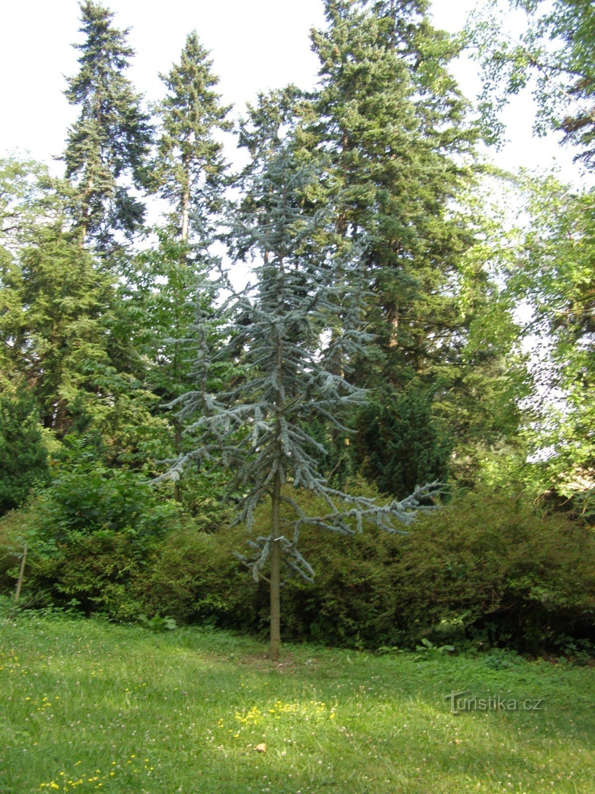 奥帕瓦附近的植物园 Nový Dvůr