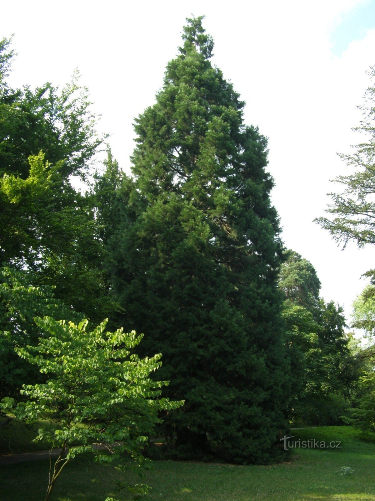 Arborétum Nový Dvůr Opava közelében