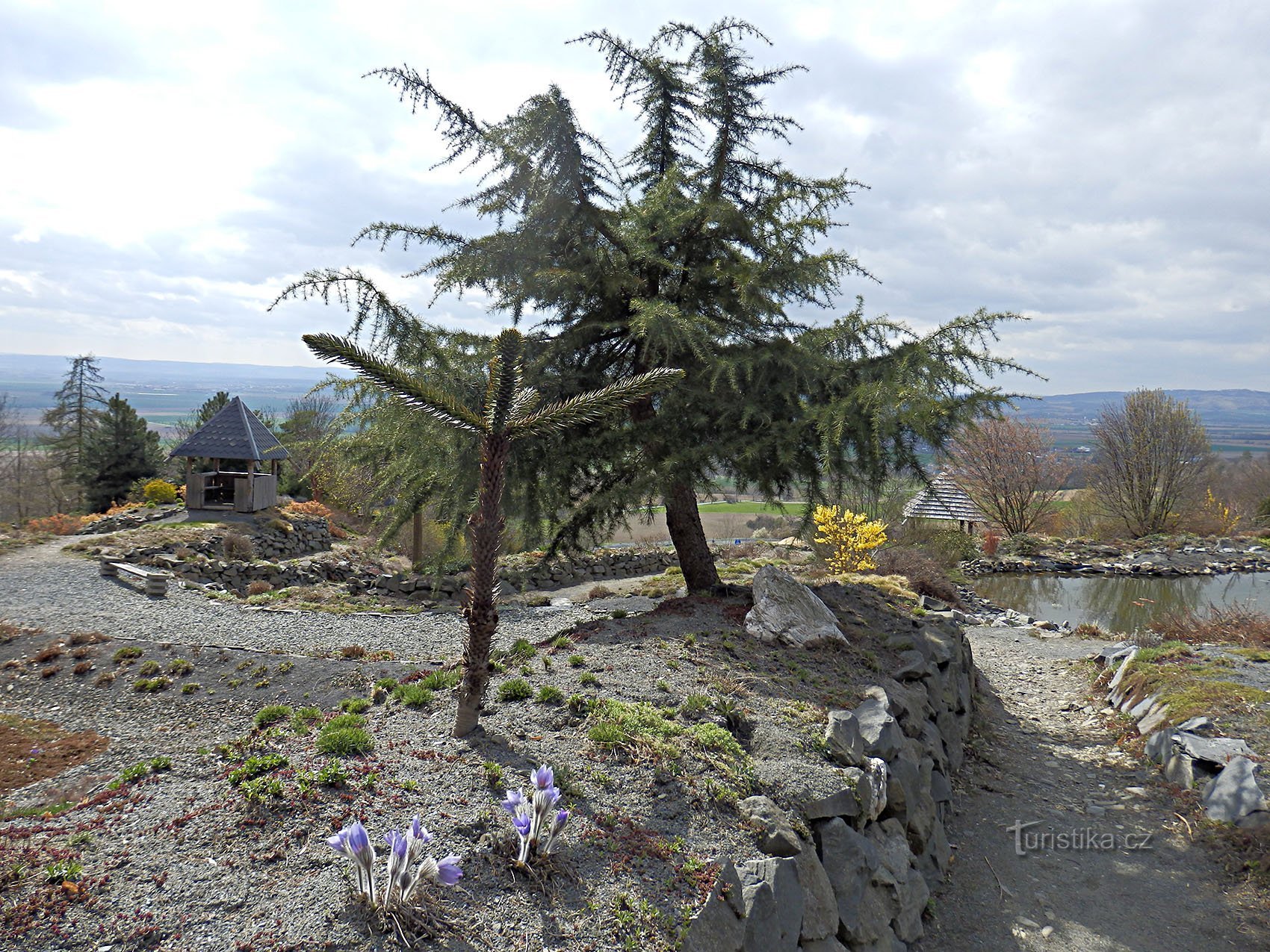 Arboreto de Pascua