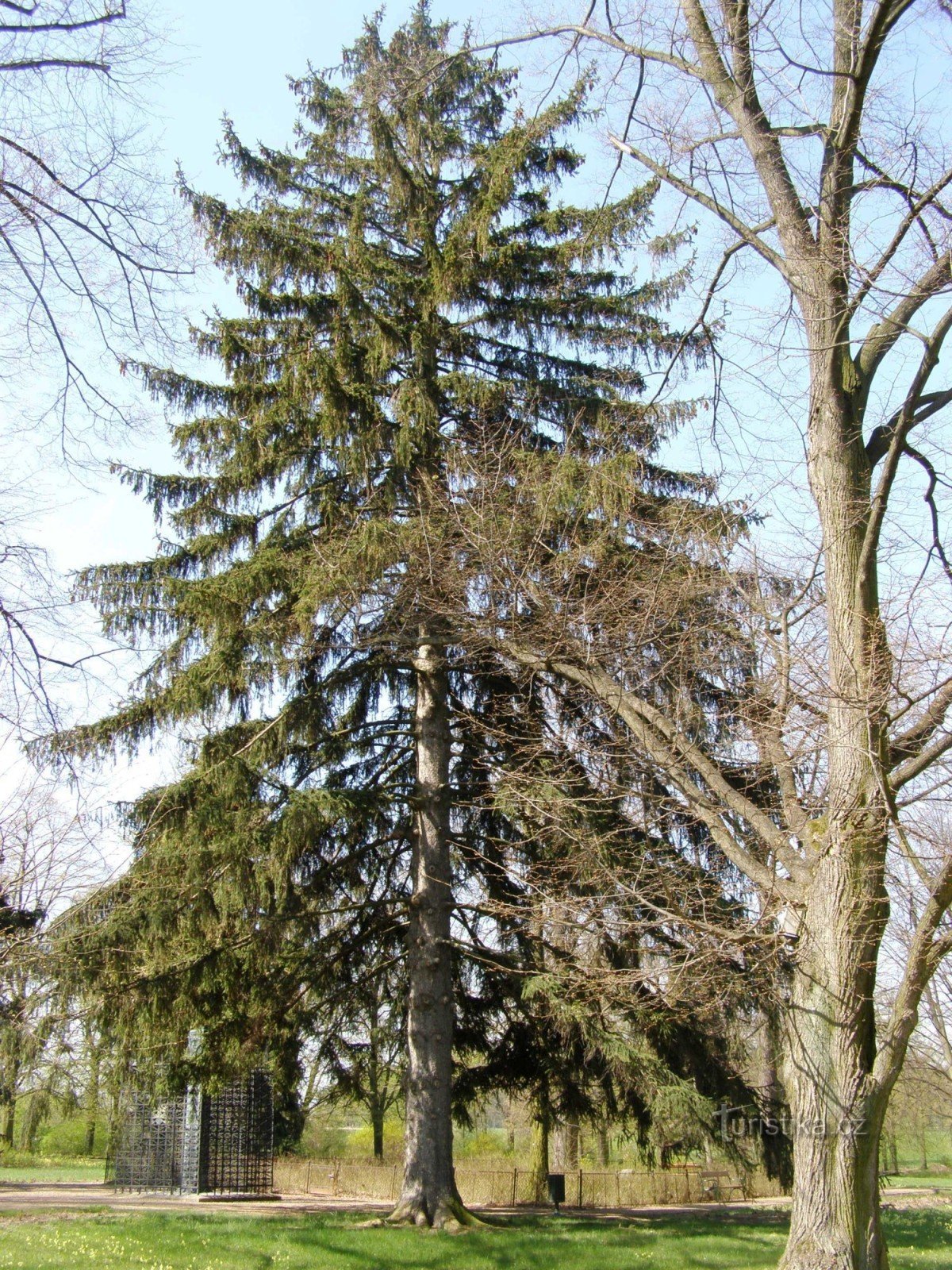 Arboretum Rožový palouček