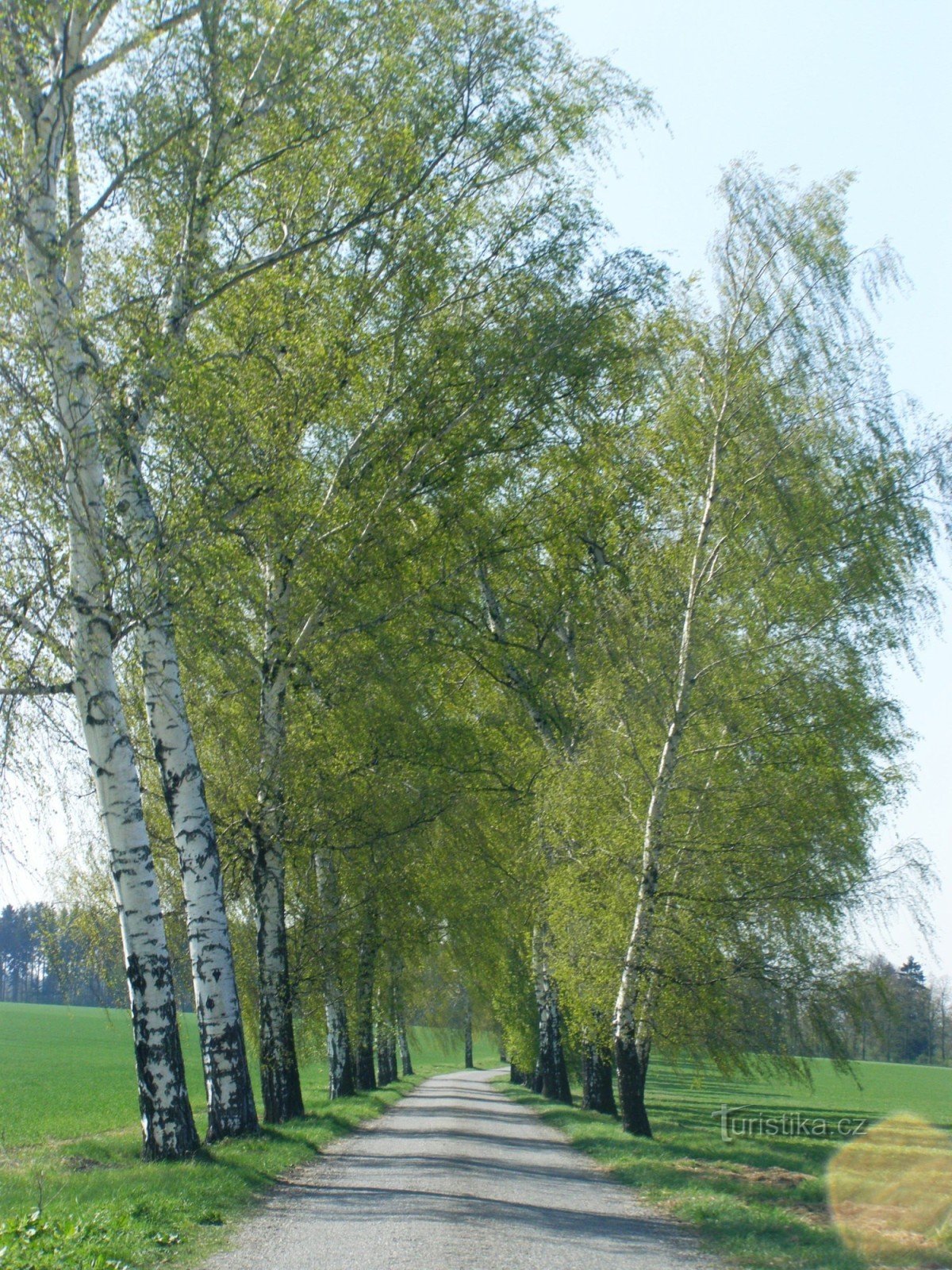 Arboretum Růžový palouček - beco de acesso