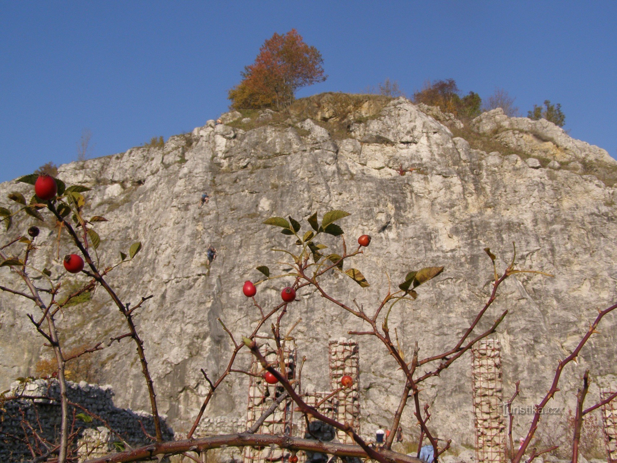 Arboretum de Stramberk